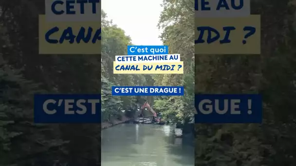 Le dragage du canal de midi à Toulouse