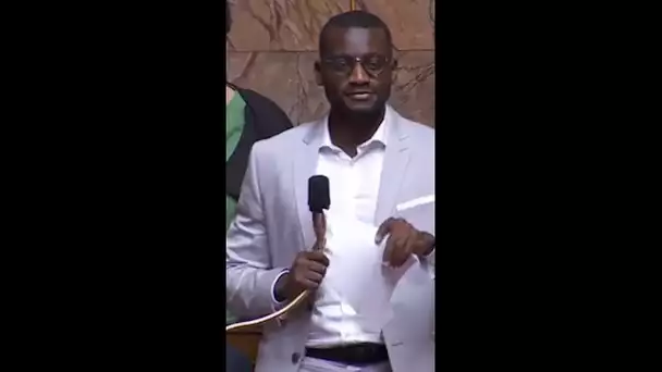 "Retourne en Afrique" : des propos racistes tenus à l'Assemblée Nationale