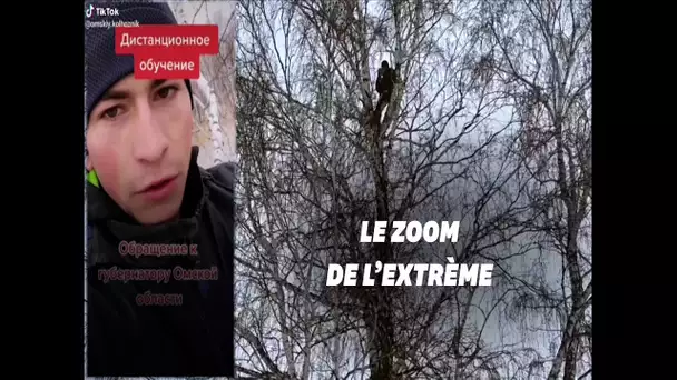 Cet étudiant russe doit monter dans un arbre pour suivre ses cours en ligne