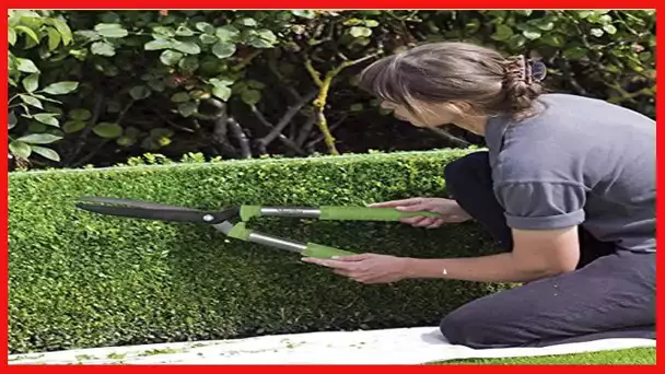 Martha Stewart MTS-LH2GS Long Handle Steel 2-Inch Garden Hedge Shears with Non-Stick Blades