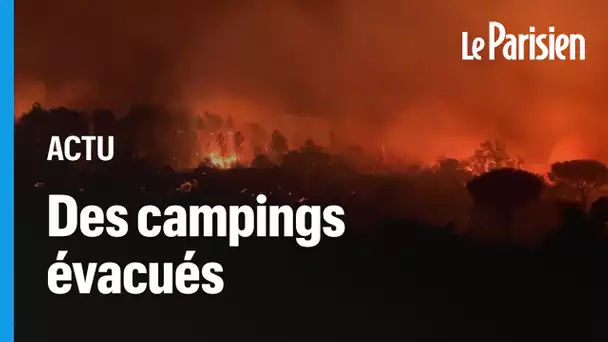 Incendie dans le Var : les images du violent feu de forêt qui sévit près de Saint-Tropez