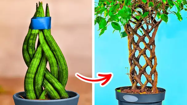 ASTUCES BRILLANTES POUR FAIRE POUSSER TES PROPRES PLANTES