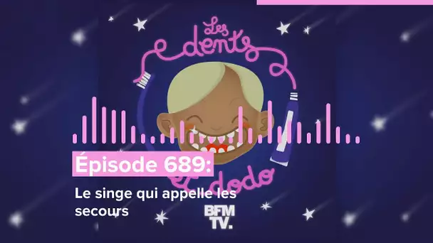 Les dents et dodo - “Épisode 689 : Le singe qui appelle les secours”