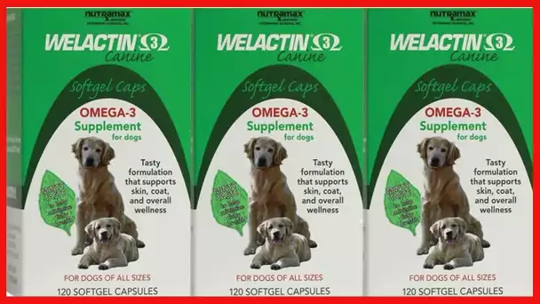 Nutramax Welactin Omega-3 Fish Oil Skin and Coat Health Supplement Liquid for Dogs - 3 Pack