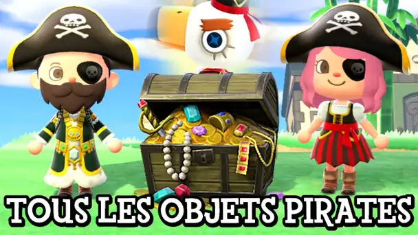 ON A TOUS LES OBJETS DE GULLIVARRR ! | ANIMAL CROSSING NEW HORIZONS EPISODE 63 CO-OP