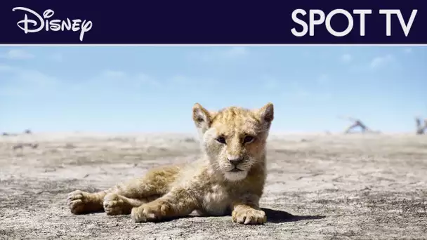 Le Roi Lion (2019) - Spot TV : Pas de souci | Disney
