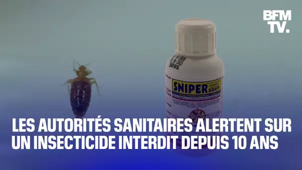 Punaises de lit: l'Anses alerte sur l'insecticide Sniper, responsable de plus de 200 intoxications