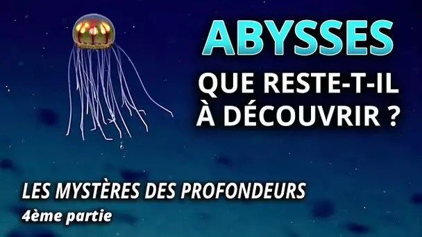 Abysses : que reste-t-il à découvrir ? - L'Esprit Sorcier