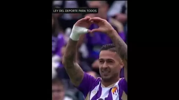 The Sergio Lion King of Valladolid 🦁👑