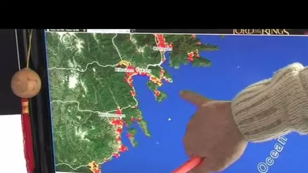 Cartes satellites des zones sinistrées au Japon