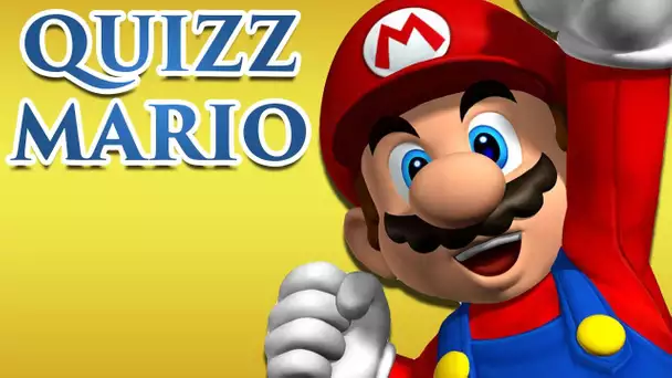 MARIO QUIZZ : PRO DU PLOMBIER ?