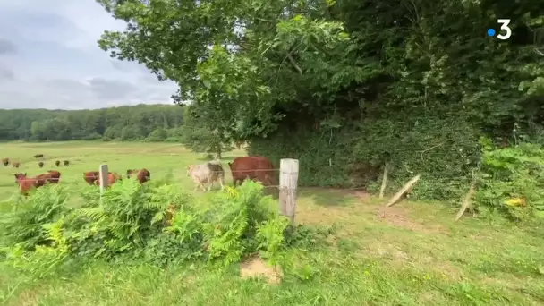 Visite de Julien Denormandie en Corrèze : les attentes des agriculteurs