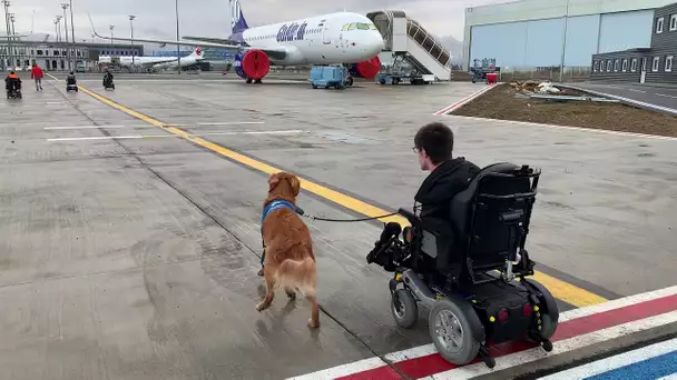 Des handicapés envahissent les pistes de l&#039;aéroport Toulouse-Blagnac