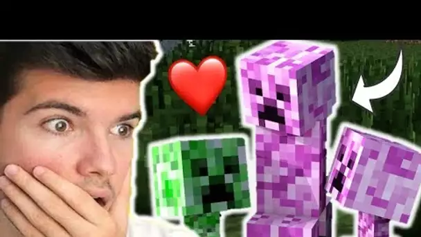 FAIRE DES BEBES AVEC UN CREEPER FILLE ? MINECRAFT