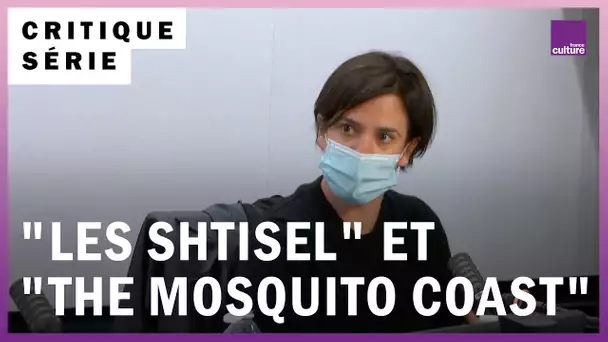 Séries : "Les Shtisel" et "The Mosquito Coast"