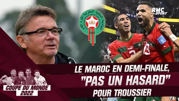 Coupe du monde 2022 : Le Maroc en demi-finale, "ce n'est pas un hasard" pour Troussier