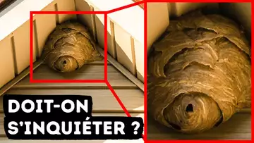 Si Tu En Trouves Un Dans Ton Jardin, Appelle Les Secours Immédiatement