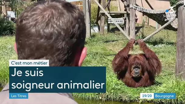 C'est mon métier - soigneur animalier