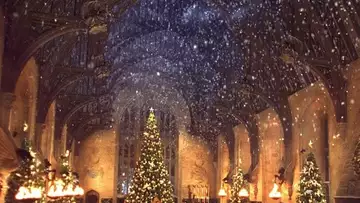 Vivez un Noël comme dans Harry Potter !