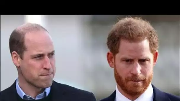 Le prince Harry a laissé de côté des détails secrets dans Spare par crainte de mettre en colère le p