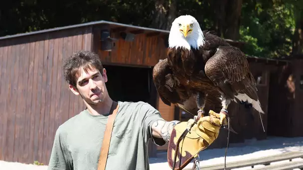 J'AI ADOPTÉ UN AIGLE !