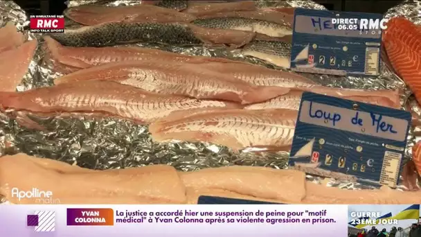 Pouvoir d'achat : les prix du poisson frais ne cessent d'augmenter