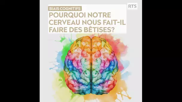 Pourquoi notre cerveau nous fait faire des bêtises ? - Dans la tête de