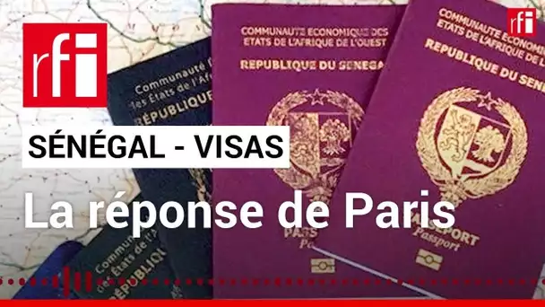 Sénégal - visas : la réponse de Paris • RFI