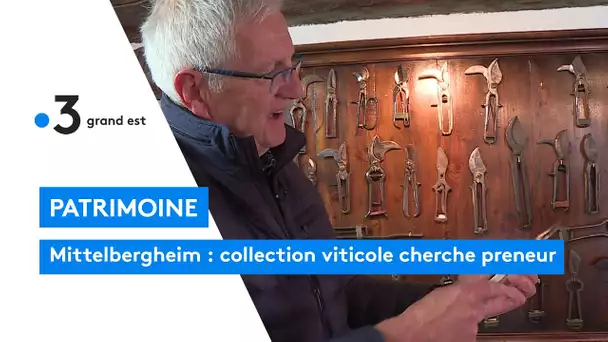 Mittelbergheim : la collection viticole de Pierre Wolf cherche preneur