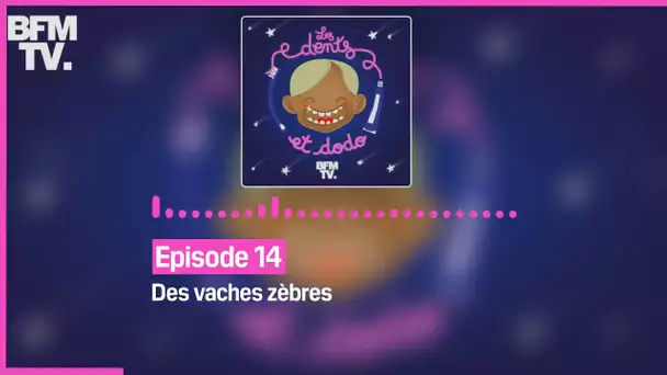 Episode 14 : Des vaches zèbres - Les dents et dodo