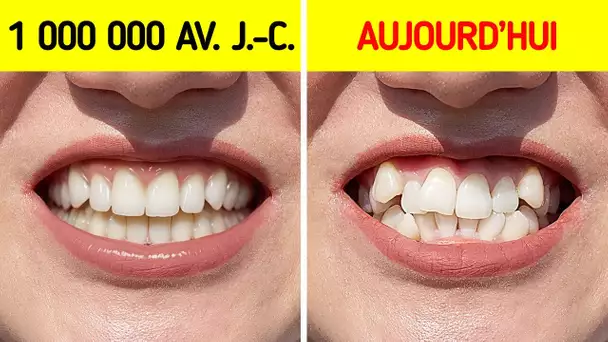 Pourquoi Les Premiers Humains Avaient Des Dents Parfaitement Droites