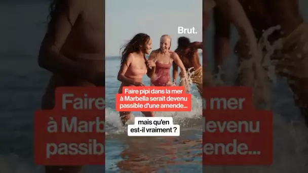 Peut-on encore faire pipi dans l'eau à Marbella ? 🤔