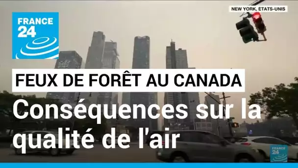 Les feux de forêt au Canada ont des conséquences sur la qualité de l'air • FRANCE 24