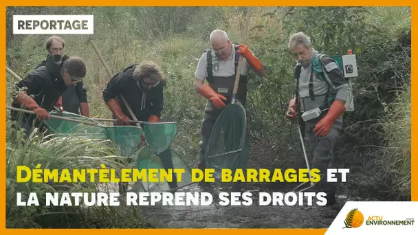 Comment la destruction des barrages redonne vie aux cours d'eau