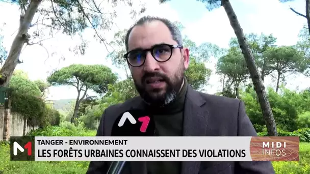 Tanger : les forêts urbaines connaissent des violations