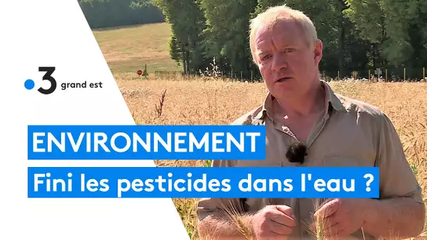 Comment l'agriculture bio améliore la qualité de l'eau potable