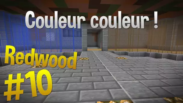 Couleur Couleur ! | Episode 10 - Serveur Redwood | Minecraft