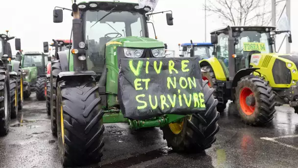 «Des agriculteurs ne transmettront pas» : ces exploitants qui s'interrogent sur l'avenir de l'agr…