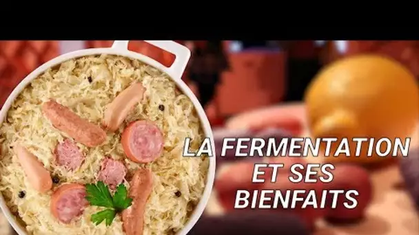 Pourquoi manger de la choucroute est bon pour la santé