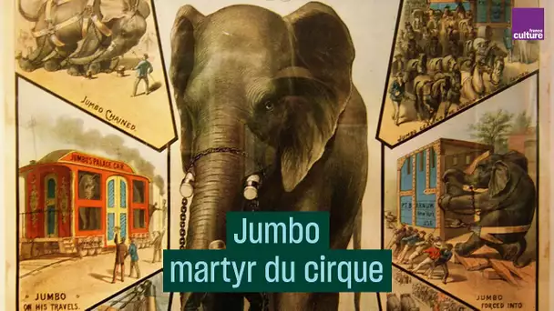 Jumbo : derrière Dumbo, le martyr du cirque