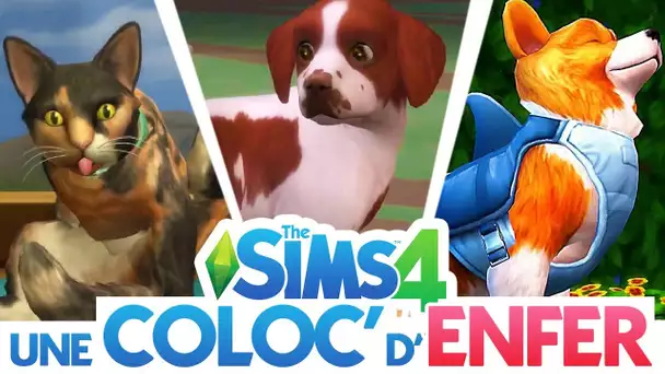 CHIEN ? CHAT ? QUI CHOISIR ?! - COLOC&#039; D&#039;ENFER - EP 5 - SIMS 4