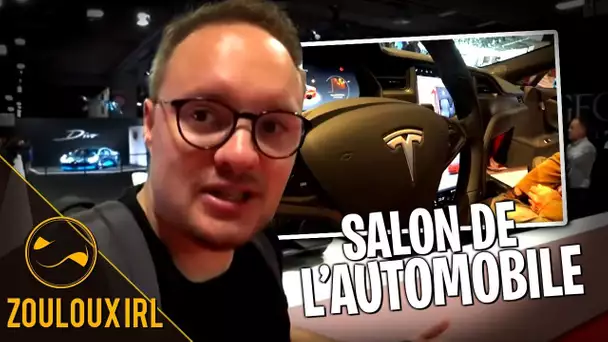 Zouloux au volant d'une Tesla - Zouloux IRL au salon de l'automobile