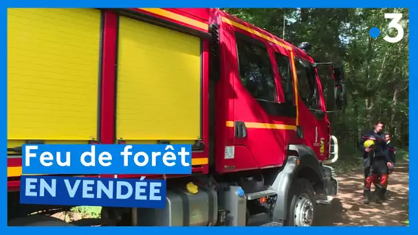 Feu de forêt : un hectare part en fumée en Vendée (08 mai 2023)