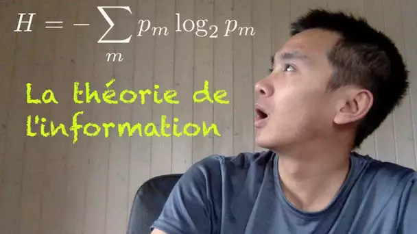 La théorie de l'information