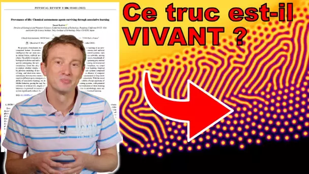 CETTE RÉACTION CHIMIQUE APPREND À SURVIVRE — Ma publication sur LYFE