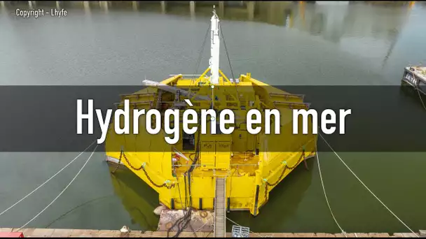 Lancement des tests de production d'hydrogène vert en mer