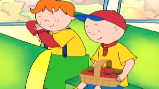 Caillou et le Voyage Scolaire | Caillou en Français