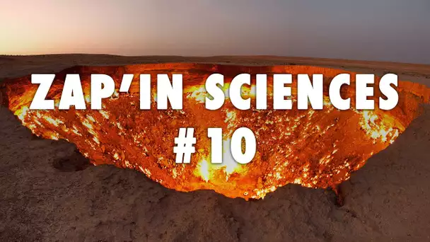 Zap'In Sciences #10 - L'Esprit Sorcier