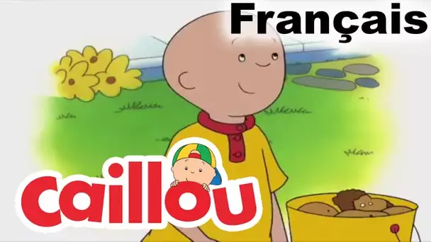 Caillou en FRANÇAIS: Caillou Oublie Ses Jouets | conte pour enfant | Caillou en Français