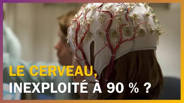 N&#039;utilise-t-on que 10% de notre cerveau ?